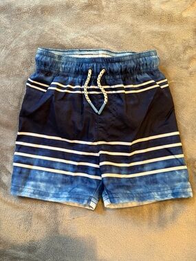 Cat & Jack Boys Navy and Light Blue Striped Swim Trunks